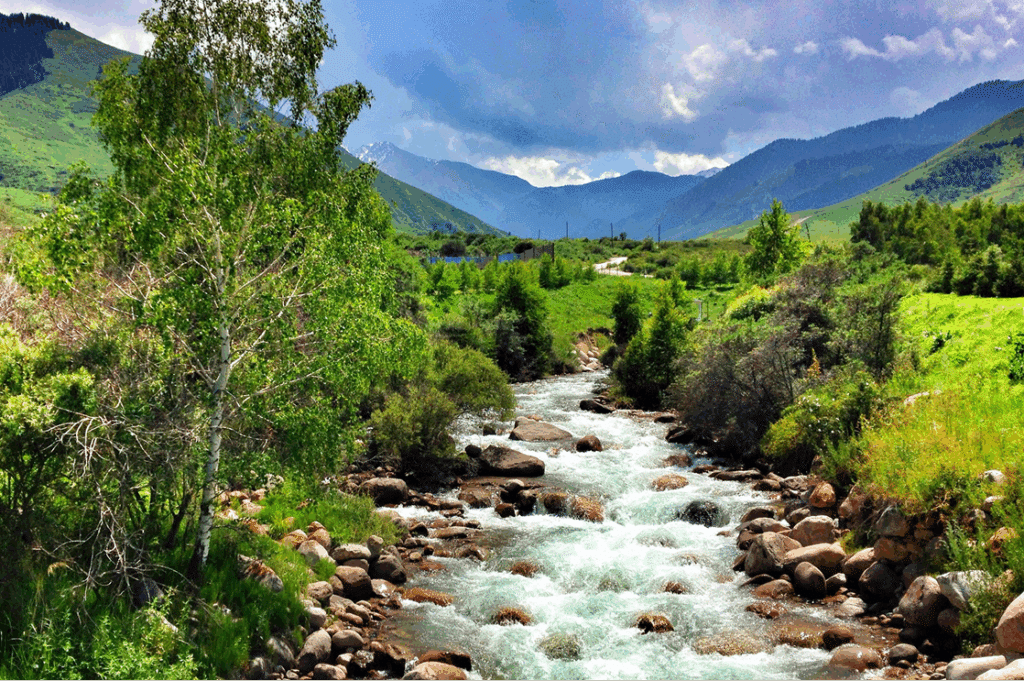 content-natural-img content-natural-img